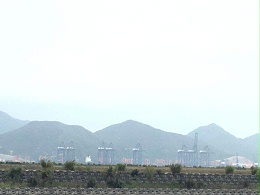 佛山中绳公司中标神华粤电煤码头